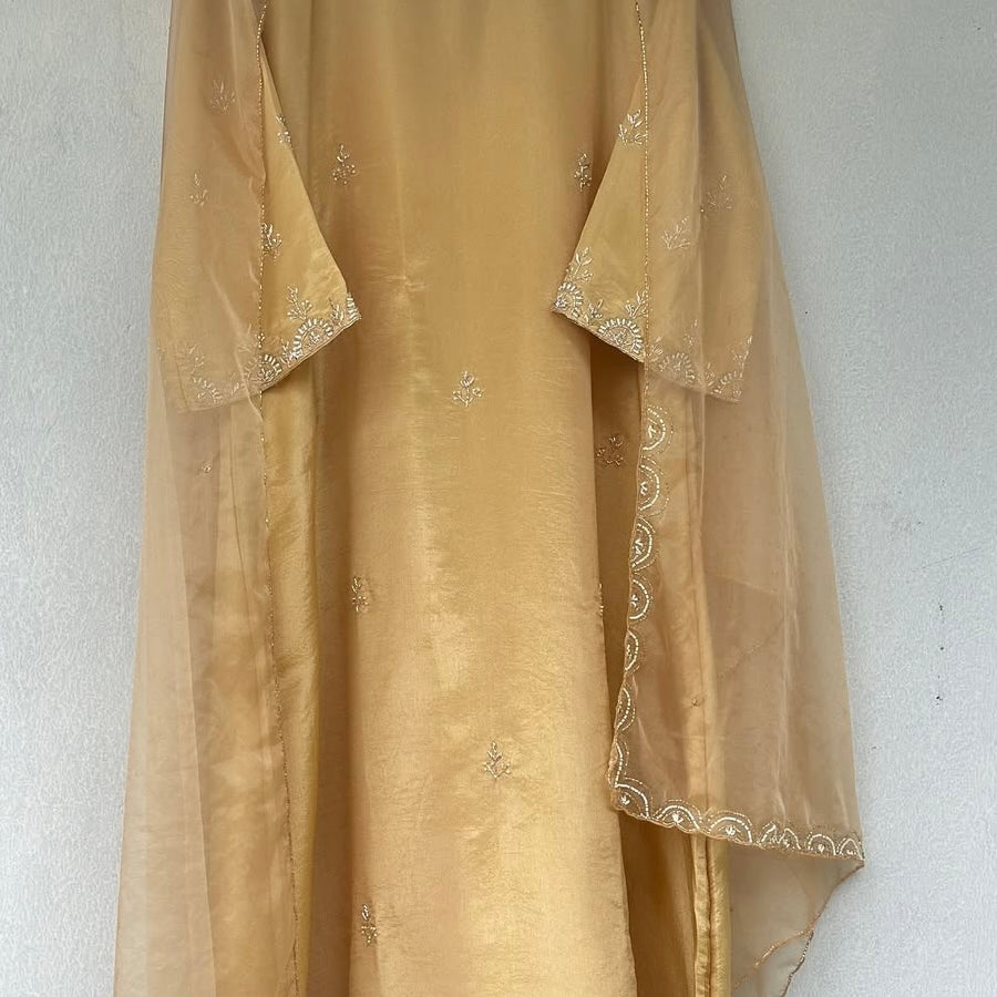 “MAHREEN” Beautiful Tissue silk Handwork Suit Set