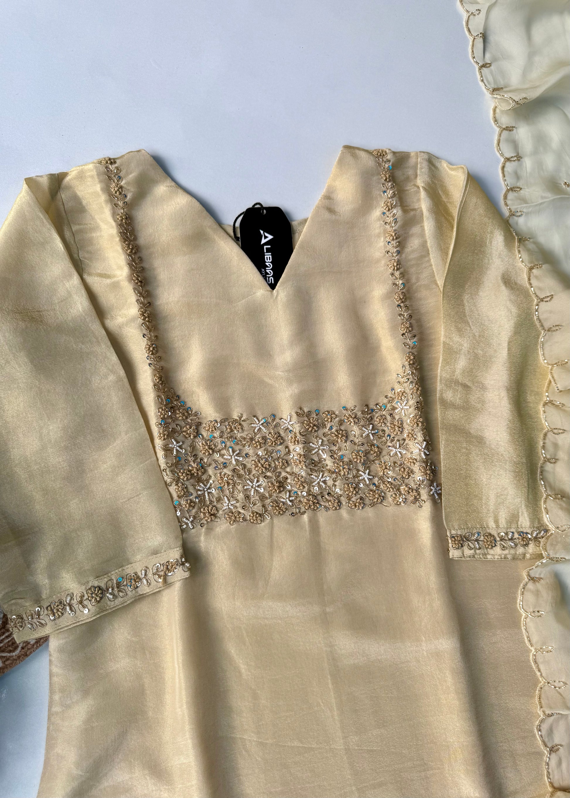 “Jini” Tissue silk handcrafted kurti bottom dupatta set 🛍️